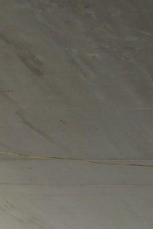 Scott Lynch / Gothamist