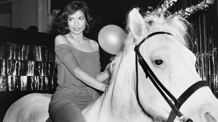 studio54