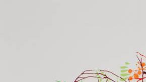 Ignacio de LuccaRizoma, 2014