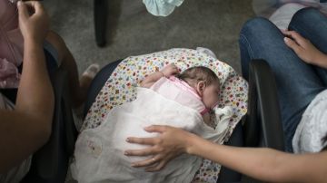 zika