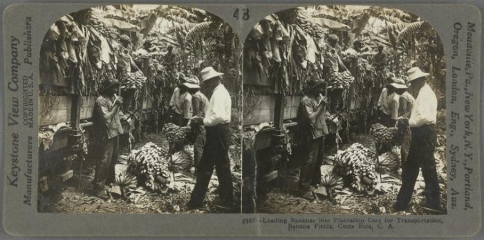 nypl.digitalcollections.5e66b3e8-9c55-d471-e040-e00a180654d7.001.w