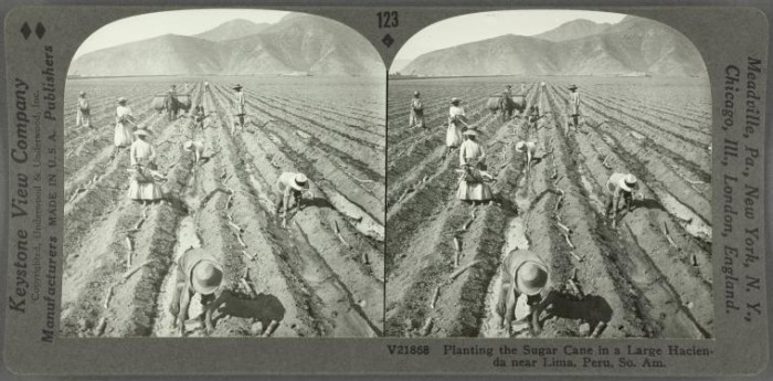 nypl.digitalcollections.5e66b3e8-b926-d471-e040-e00a180654d7.001.w