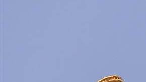 oscarisaac-goldenglobe-2016-jpg_6f275288c11b68036a9a211045326bbf.nbcnews-ux-2880-1000