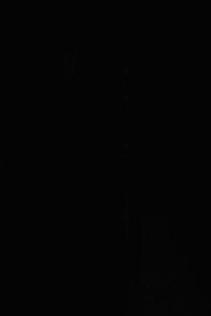 -..-IICManager-Upload-IMG--NewYork-201601290011El Barrio