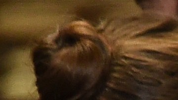 Photo: Kevin Winter/Getty Images