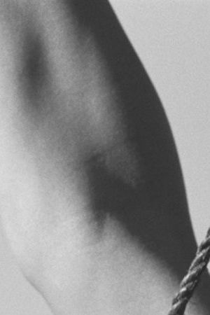 Copyright Pantelion Films 2014