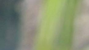 Photo courtesy of the Goldman Environmental Prize