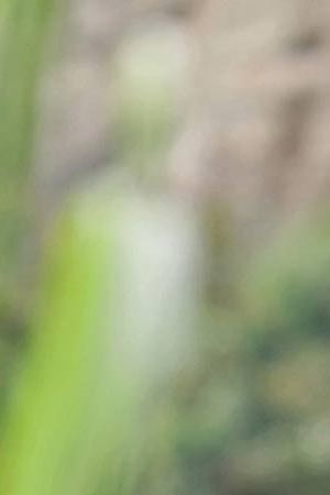 Photo courtesy of the Goldman Environmental Prize