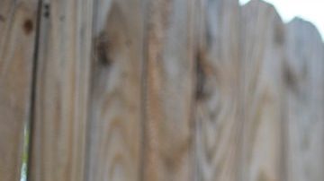 Photo by Itzel Alejandra Martinez/Remezcla