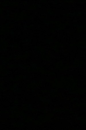 Walter McBride/WireImage