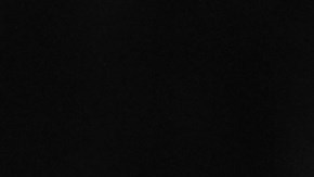 Courtesy of Miami Film Festival