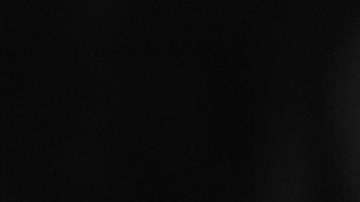 Courtesy of Miami Film Festival