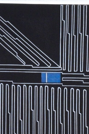 Credit: Rafael Vargas-Suarez