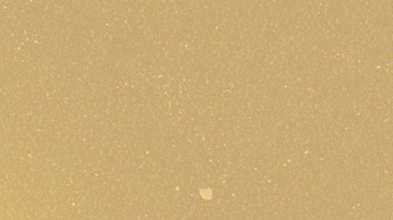 Art by Stephany Torres for Remezcla