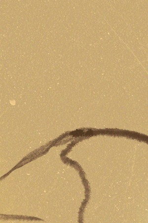 Art by Stephany Torres for Remezcla