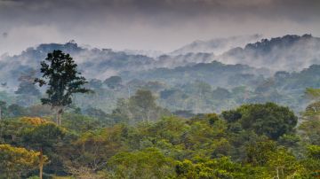 Equatorial_Guinea
