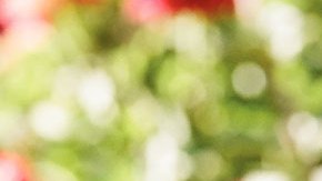 Isabel-Allende-credit-Lori-Barra_0