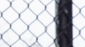 Bernie Sanders supporters at St. Mary’s Park in the South Bronx. Photo: Itzel Alejandra Martinez for Remezcla.