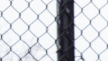 Bernie Sanders supporters at St. Mary’s Park in the South Bronx. Photo: Itzel Alejandra Martinez for Remezcla.