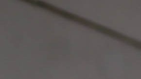 The Parrots. Photo by Itzel Alejandra Martinez for Remezcla