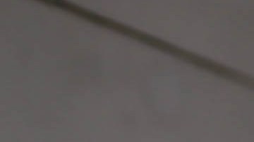 The Parrots. Photo by Itzel Alejandra Martinez for Remezcla