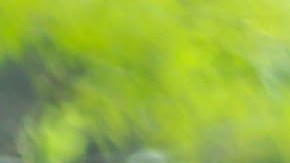 Photo by Itzel Alejandra Martinez