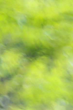 Photo by Itzel Alejandra Martinez