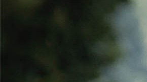 Photo: Hans-Maximo Musielik for Remezcla