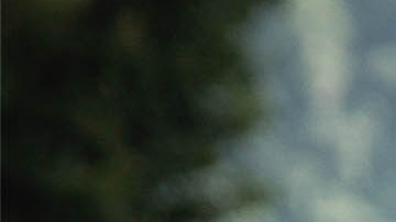 Photo: Hans-Maximo Musielik for Remezcla