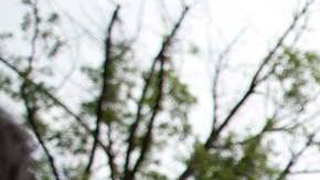 Armando Garcia protests outside the Trump hotel in Washington, DC, July 9, 2015. (AP Photo / Carolyn Kaster)