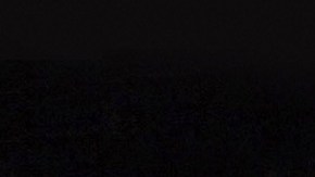 Photo by Alberto E. Rodriguez/WireImage for Picturehouse