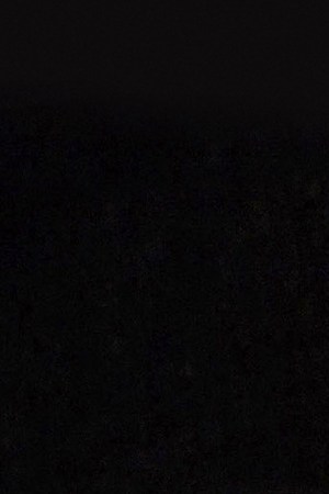 Photo by Alberto E. Rodriguez/WireImage for Picturehouse