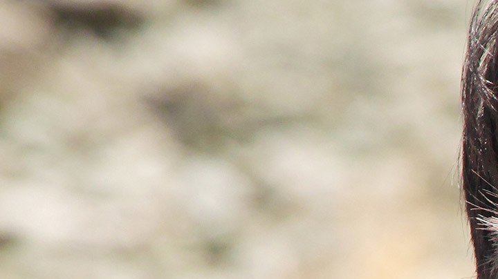 desierto gael with gun