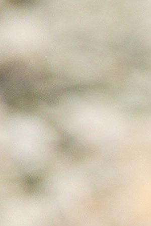 desierto gael with gun