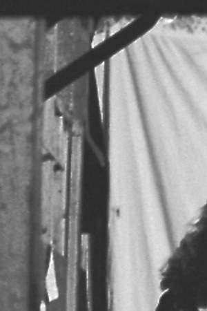 The Germs. Photo by Theresa Kereakes