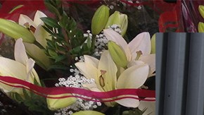 Photo by Itzel Alejandra Martinez for Remezcla