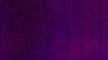 LGBTQ papi juice_culture