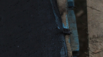 Sweet Maria's Coffee