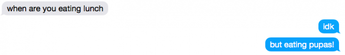Screen Shot 2016-06-14 at 11.02.10 AM