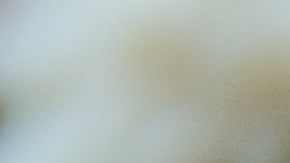 Short rib tamales with tomatillo sauce and queso fresco by Chef Susie Jimenez & Ibrahim Sanz from Spice It Up and Haven Riverfront. Photo by Itzel Alejandra for Remezcla