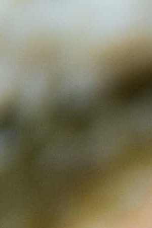 Short rib tamales with tomatillo sauce and queso fresco by Chef Susie Jimenez & Ibrahim Sanz from Spice It Up and Haven Riverfront. Photo by Itzel Alejandra for Remezcla