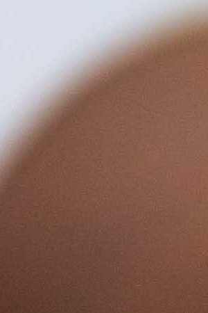 Hamachi Crudo with agua chile verde, granny smith apples, sweet onion crisp French radishes by Martin Juana Rios by Restaurant Martin