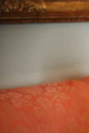 sonia_sotomayor_culture