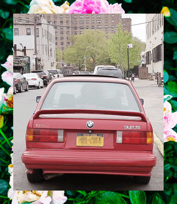 Photo GIF by Itzel Alejandra for Remezcla