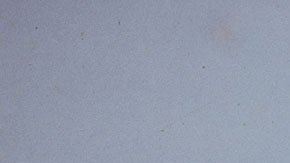 Danny Lyon (b. 1942), Tesca, Cartagena, Colombia, 1966. Cibachrome, printed 2008. 10 1/8 × 10 1/8 in. (25.7 × 25.7 cm). Collection of the artist. © Danny Lyon, courtesy Edwynn Houk Gallery, New York