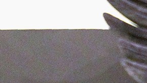 Mexican filmmaker Del Toro presents his collection of personal objects and part of thiose he used in his films. Photo credit should read ULISES RUIZ/AFP via Getty Images