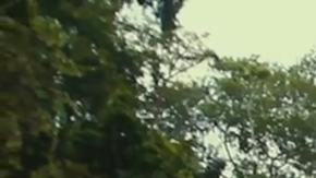 'When Two Worlds Collide' Courtesy of Sundance Film Festival