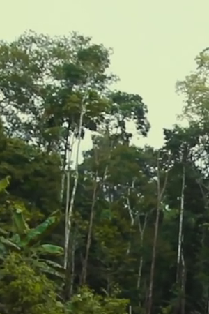 'When Two Worlds Collide' Courtesy of Sundance Film Festival