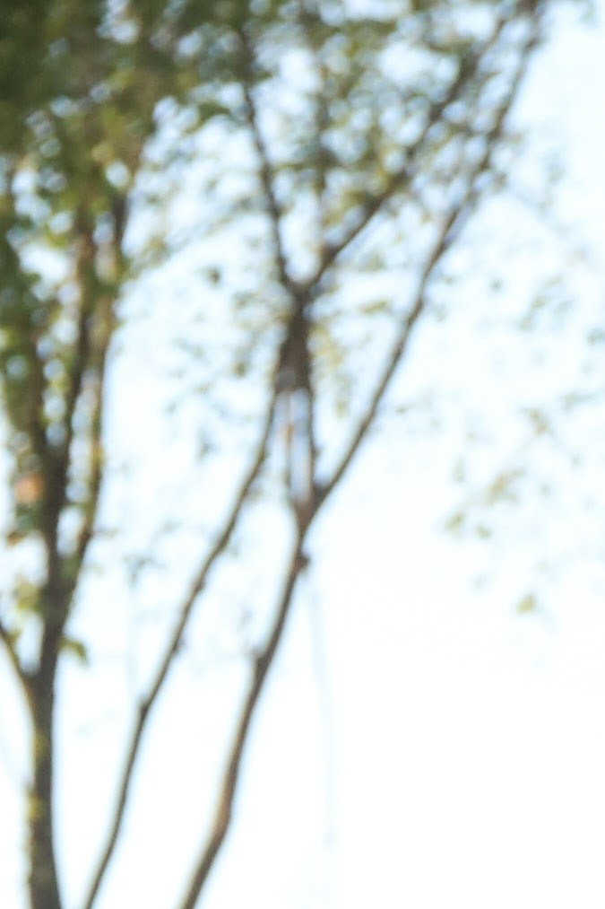 afropunk_music_itzel-25