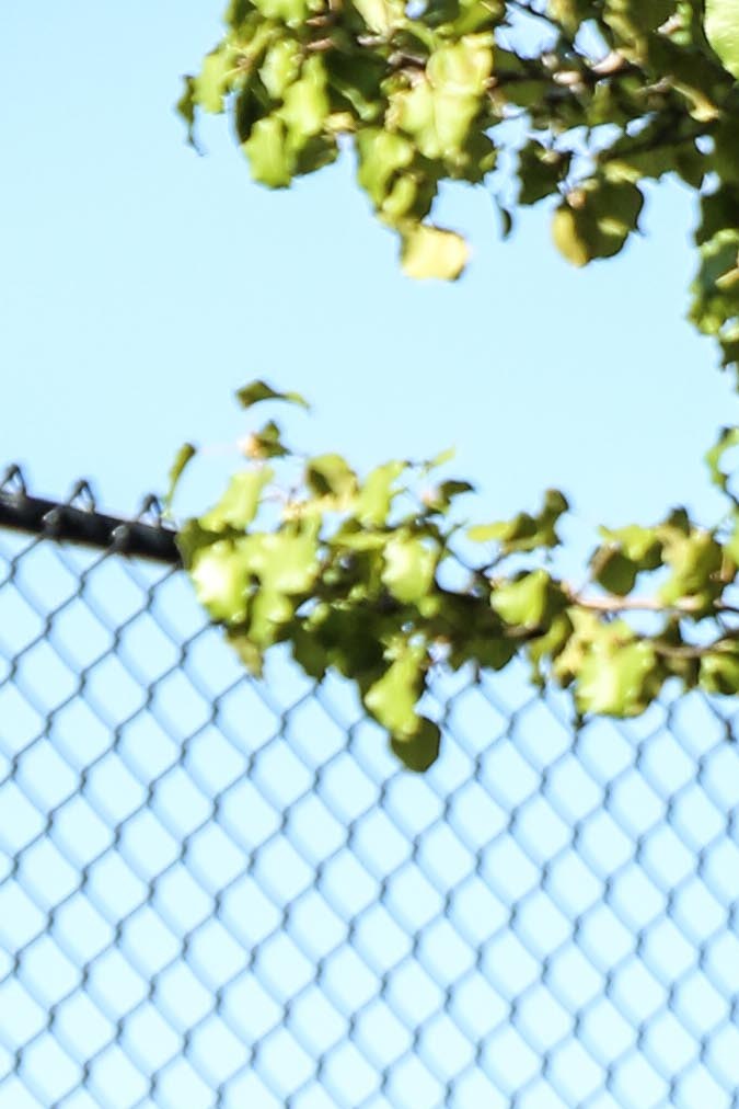 afropunk_music_itzel-52